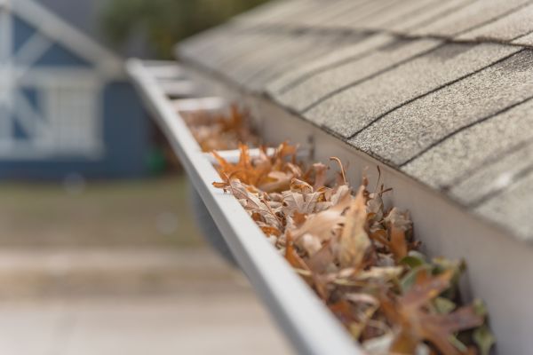 Leaf Barrier Installation in Leesburg