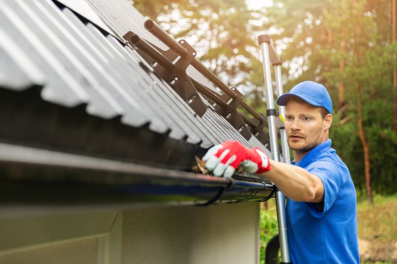 Professional Gutter Service Providers